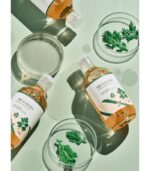 Round Lab Mugwort Calming Toner – Soothing Toner for Sensitive Skin 300 ml - Image 2