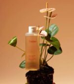 Fraijour - Alchemic Ginsenoside Herbal Rx Toner - Image 3