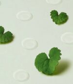 Purito Seoul Wonder Releaf Centella Spot Patch – Clear Acne Patch 51pcs - Image 4