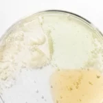 Beauty of Joseon - Hanbang Serum Discovery Kit - 4x10ml - Image 2